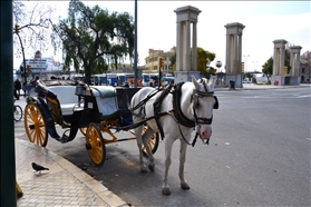 Málaga